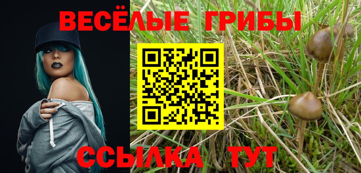 Псилоцибиновые грибы ЛСД Ярцево