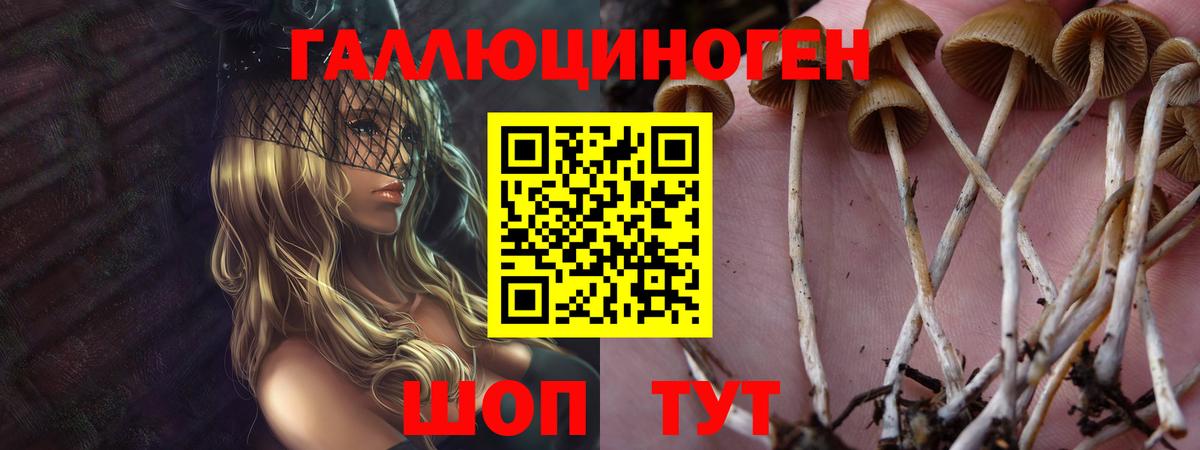 Ярцево  Галлюциногенные грибы мицелий  Вход с VPN  Галлюциногенные грибы Psilocybine cubensis 